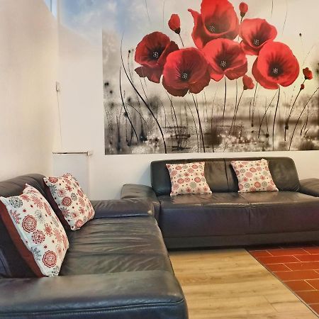 Cozy Penthouse In A New Business Building In City Center. Free Private Parking Apartamento Cluj-Napoca Exterior foto